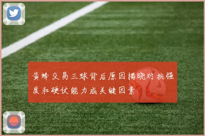 黄蜂交易三球背后原因揭晓对抗强度和硬仗能力成关键因素